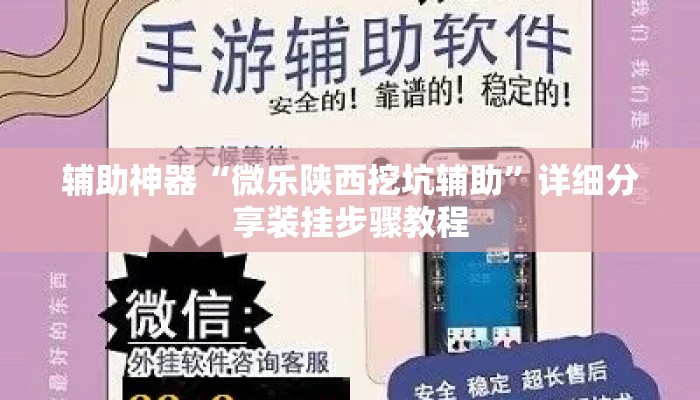 辅助神器“微乐陕西挖坑辅助”详细分享装挂步骤教程