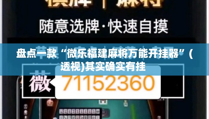 盘点一款“微乐福建麻将万能开挂器”(透视)其实确实有挂 