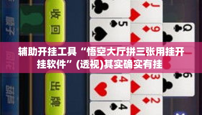 辅助开挂工具“悟空大厅拼三张用挂开挂软件”(透视)其实确实有挂 