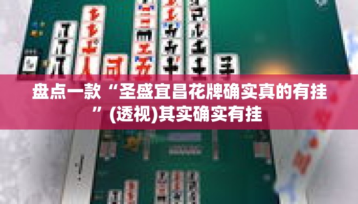 盘点一款“圣盛宜昌花牌确实真的有挂”(透视)其实确实有挂 