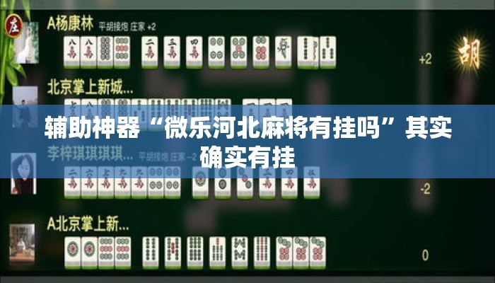 辅助神器“微乐河北麻将有挂吗”其实确实有挂