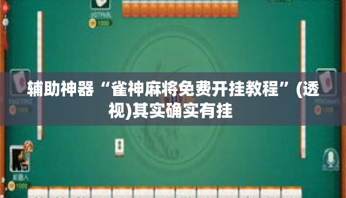 辅助神器“雀神麻将免费开挂教程”(透视)其实确实有挂 