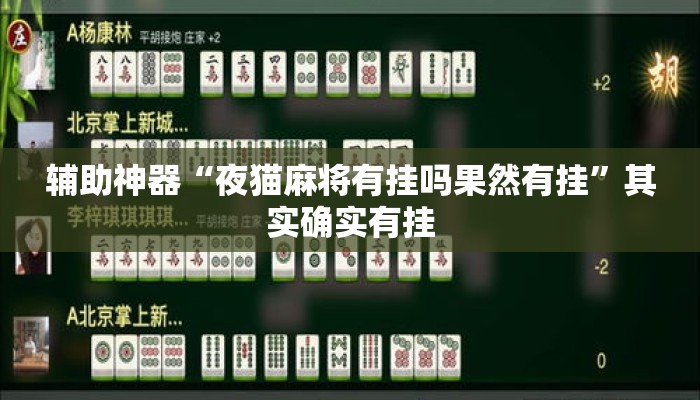 辅助神器“夜猫麻将有挂吗果然有挂”其实确实有挂