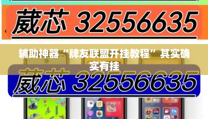 辅助神器“牌友联盟开挂教程”其实确实有挂