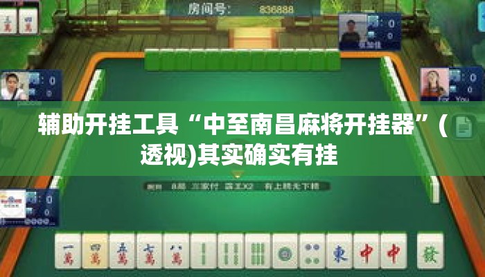 辅助开挂工具“中至南昌麻将开挂器	”(透视)其实确实有挂 