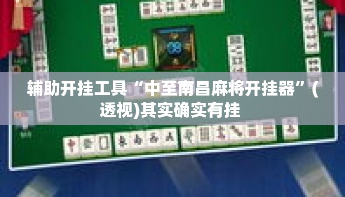 辅助开挂工具“中至南昌麻将开挂器”(透视)其实确实有挂 