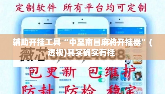辅助开挂工具“中至南昌麻将开挂器”(透视)其实确实有挂 