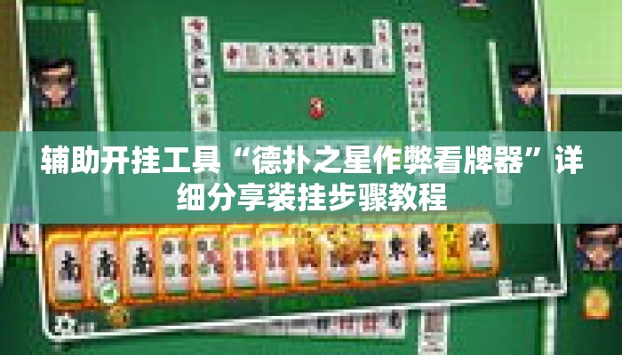 辅助开挂工具“德扑之星作弊看牌器”详细分享装挂步骤教程