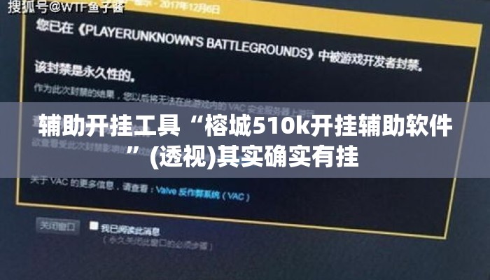 辅助开挂工具“榕城510k开挂辅助软件”(透视)其实确实有挂 