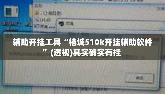 辅助开挂工具“榕城510k开挂辅助软件”(透视)其实确实有挂 