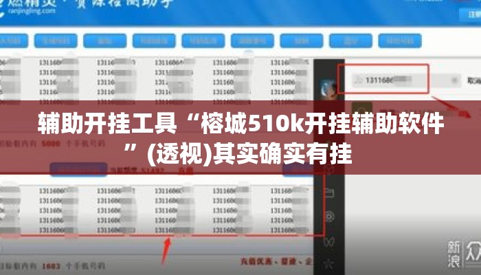 辅助开挂工具“榕城510k开挂辅助软件”(透视)其实确实有挂 
