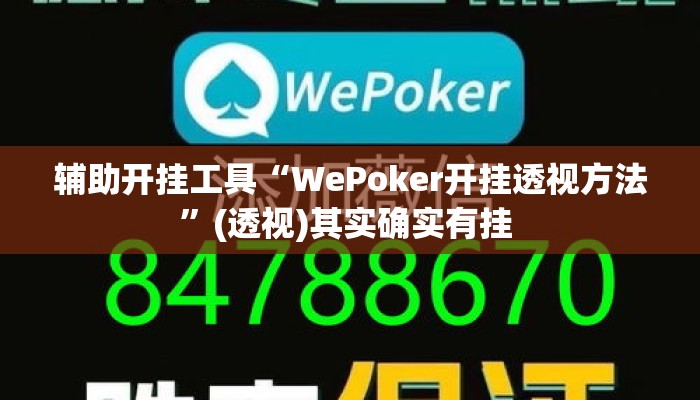 辅助开挂工具“WePoker开挂透视方法”(透视)其实确实有挂 