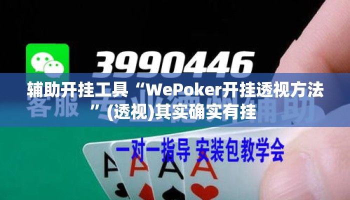 辅助开挂工具“WePoker开挂透视方法”(透视)其实确实有挂 