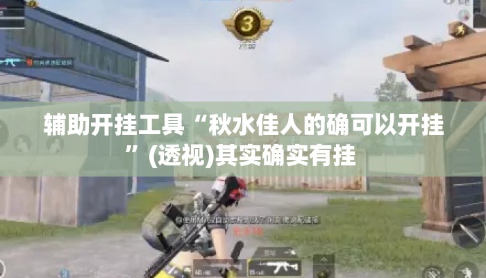 辅助开挂工具“秋水佳人的确可以开挂”(透视)其实确实有挂 