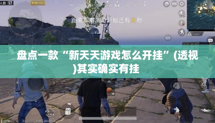 盘点一款“新天天游戏怎么开挂	”(透视)其实确实有挂 