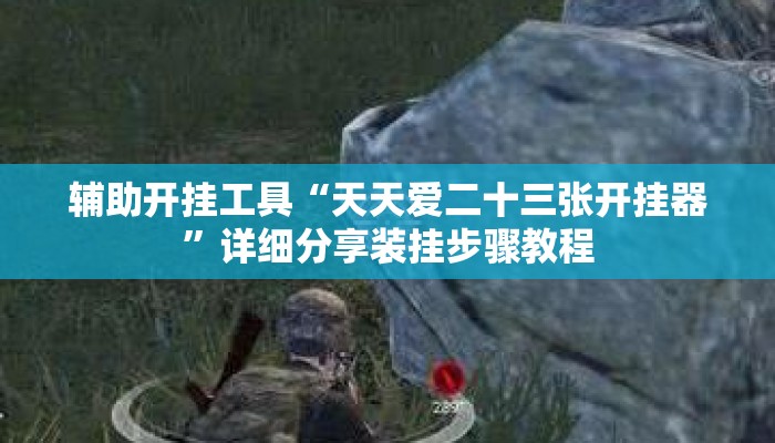 辅助开挂工具“天天爱二十三张开挂器”详细分享装挂步骤教程