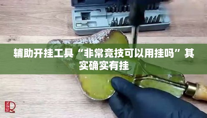 辅助开挂工具“非常竞技可以用挂吗”其实确实有挂