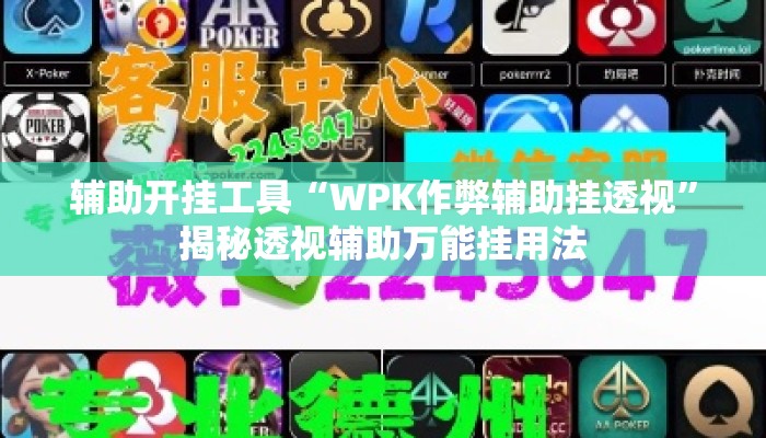 辅助开挂工具“WPK作弊辅助挂透视”揭秘透视辅助万能挂用法