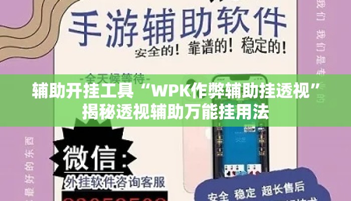 辅助开挂工具“WPK作弊辅助挂透视”揭秘透视辅助万能挂用法