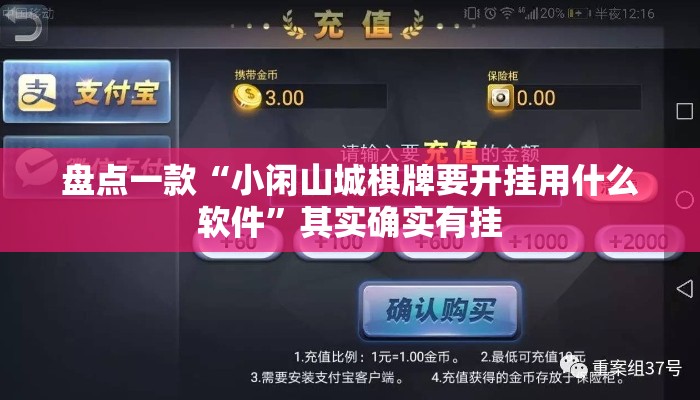 盘点一款“小闲山城棋牌要开挂用什么软件	”其实确实有挂