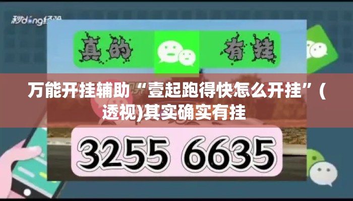 万能开挂辅助“壹起跑得快怎么开挂”(透视)其实确实有挂 
