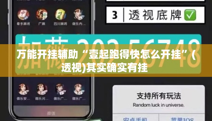 万能开挂辅助“壹起跑得快怎么开挂”(透视)其实确实有挂 