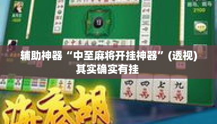 辅助神器“中至麻将开挂神器”(透视)其实确实有挂 