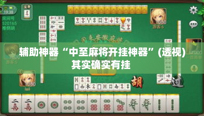 辅助神器“中至麻将开挂神器	”(透视)其实确实有挂 