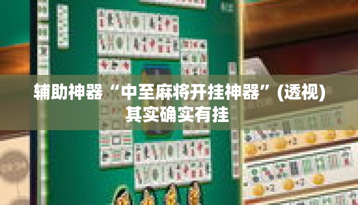 辅助神器“中至麻将开挂神器”(透视)其实确实有挂 