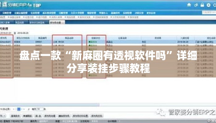 盘点一款“新麻圈有透视软件吗”详细分享装挂步骤教程