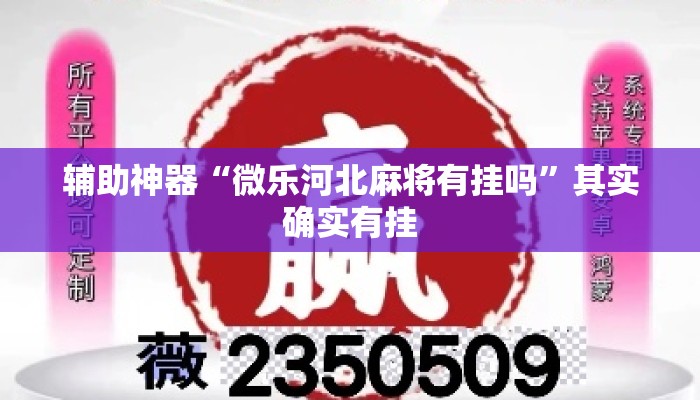 辅助神器“微乐河北麻将有挂吗”其实确实有挂