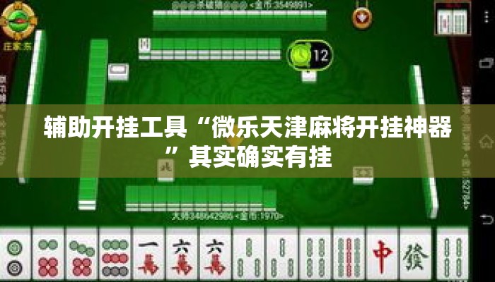 辅助开挂工具“微乐天津麻将开挂神器	”其实确实有挂