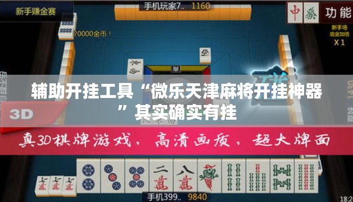 辅助开挂工具“微乐天津麻将开挂神器”其实确实有挂