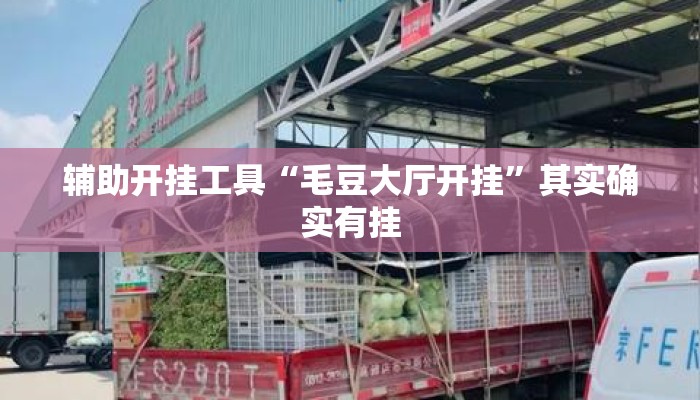 辅助开挂工具“毛豆大厅开挂	”其实确实有挂