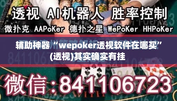 辅助神器“wepoker透视软件在哪买	”(透视)其实确实有挂 