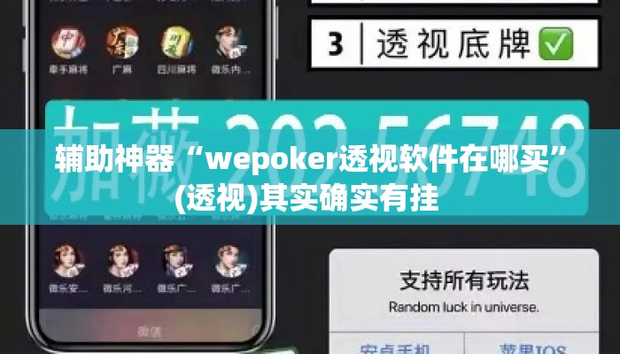 辅助神器“wepoker透视软件在哪买”(透视)其实确实有挂 