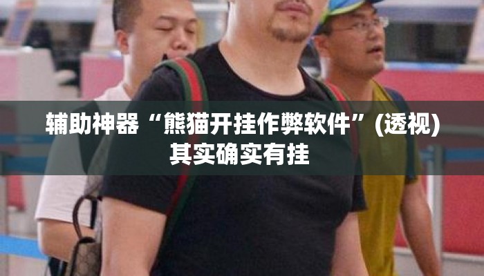 辅助神器“熊猫开挂作弊软件	”(透视)其实确实有挂 