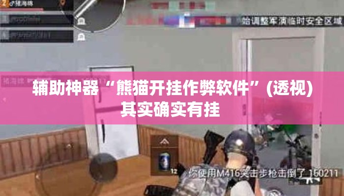 辅助神器“熊猫开挂作弊软件”(透视)其实确实有挂 