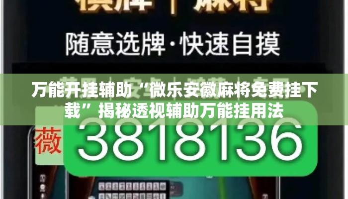 万能开挂辅助“微乐安徽麻将免费挂下载	”揭秘透视辅助万能挂用法