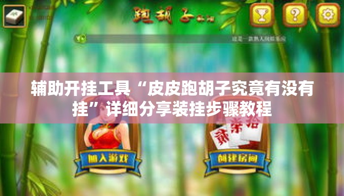 辅助开挂工具“皮皮跑胡子究竟有没有挂”详细分享装挂步骤教程