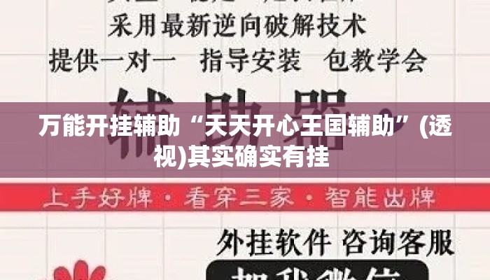 万能开挂辅助“天天开心王国辅助	”(透视)其实确实有挂 