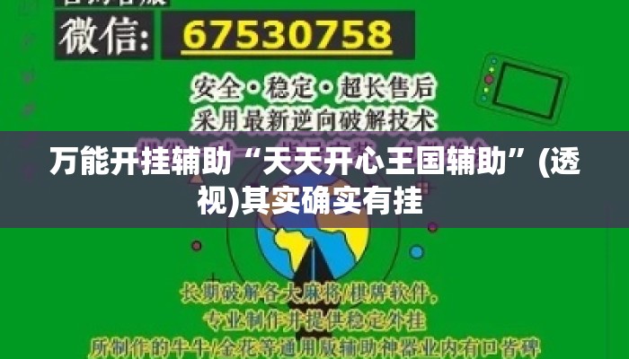 万能开挂辅助“天天开心王国辅助”(透视)其实确实有挂 