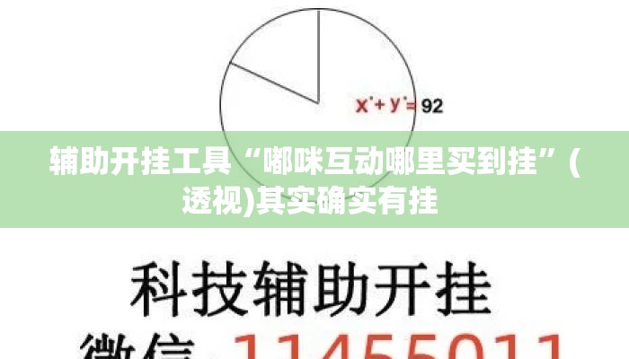 辅助开挂工具“嘟咪互动哪里买到挂”(透视)其实确实有挂 