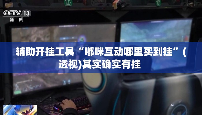 辅助开挂工具“嘟咪互动哪里买到挂”(透视)其实确实有挂 