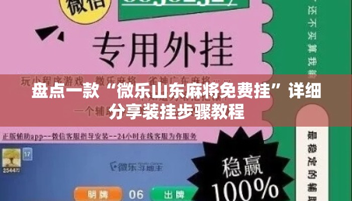 盘点一款“微乐山东麻将免费挂”详细分享装挂步骤教程