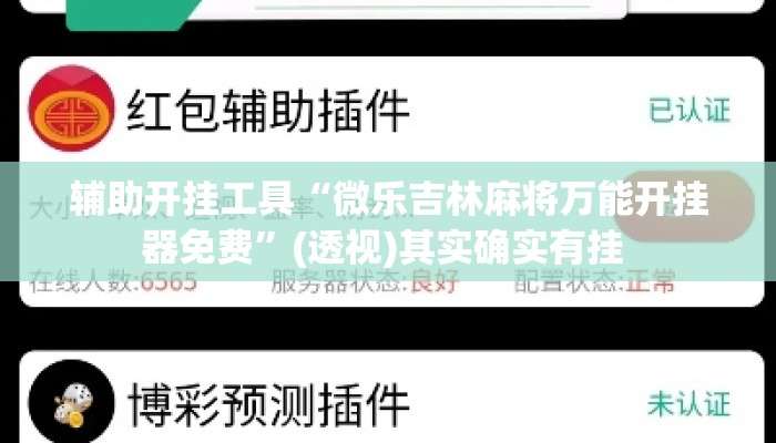 辅助开挂工具“微乐吉林麻将万能开挂器免费”(透视)其实确实有挂 