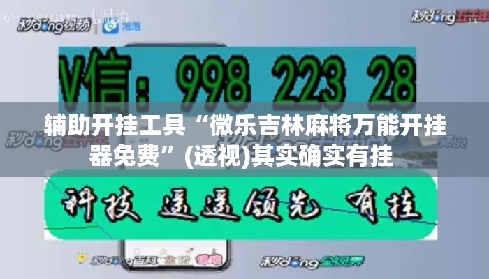 辅助开挂工具“微乐吉林麻将万能开挂器免费”(透视)其实确实有挂 