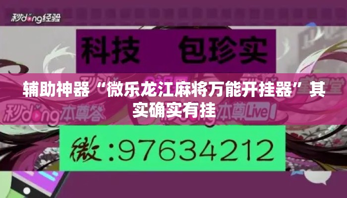 辅助神器“微乐龙江麻将万能开挂器”其实确实有挂