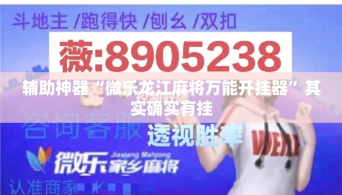 辅助神器“微乐龙江麻将万能开挂器”其实确实有挂