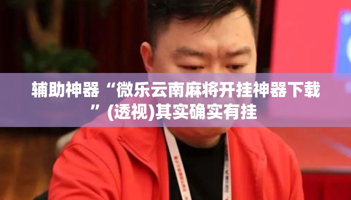 辅助神器“微乐云南麻将开挂神器下载”(透视)其实确实有挂 